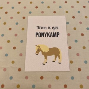 Kaartje met enveloppe / ponykamp