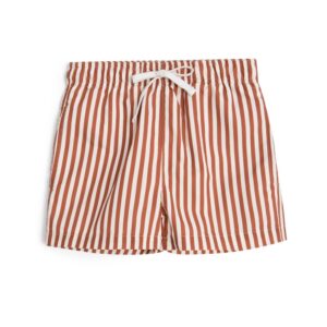 Garbo & Friends / swim shorts / stripe rust